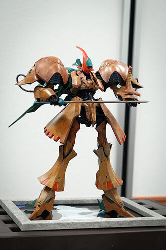 fss1s